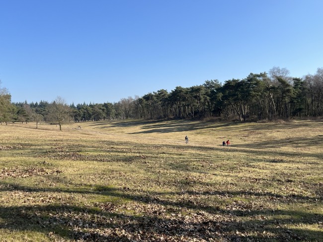 Wandelaars op de Heuvelrug Rhenen ©