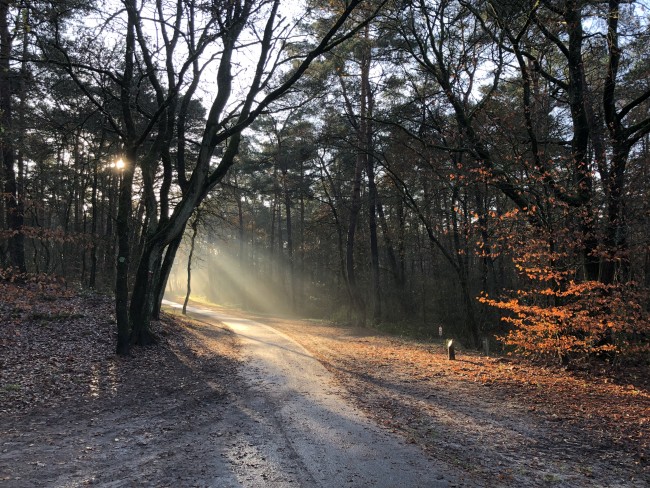 Herfstzon