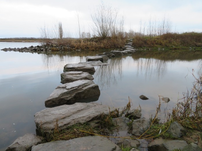 stapstenen in de Maas