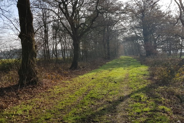 Pieterpad_Deel_1_etappe_05.jpg