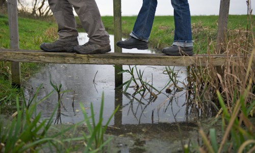 Close-up wandelen over bruggetje boerenlandspaden  © Wandelnet - Ad Snelderwaard.jpg