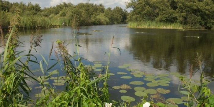 Ankeveense plassen © Ad Snelderwaard