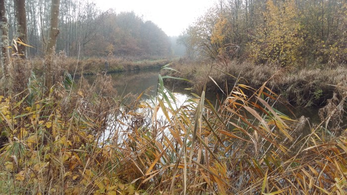 Kromme Raken in bos Abelstok.jpg