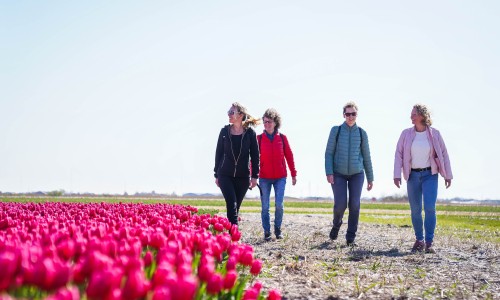 Wandelvrouwen langs de bollen.jpg