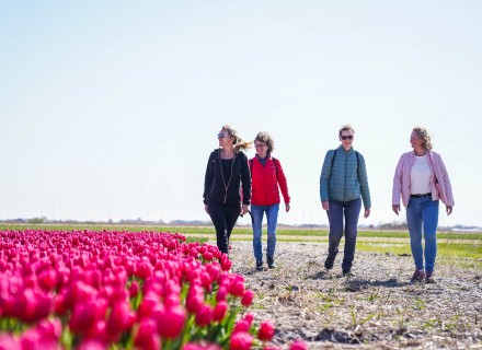https://www.wandelnet.nl/blogbericht/2025/04/10/dagboek-van-de-wandelaar?utm_source=nieuwsbrief&utm_medium=email&utm_campaign=lz_april