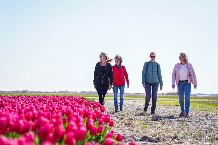 Wandelvrouwen langs de bollen