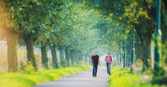 Wandelaars in de zomer © Wandelnet