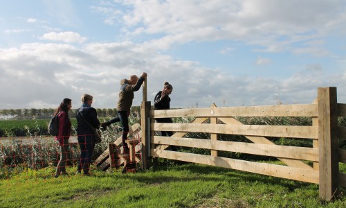 Nieuws_Overstap_boerenlandpad_Friesland WNW.JPG