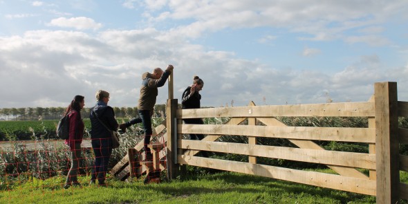 Nieuws_Overstap_boerenlandpad_Friesland WNW.JPG