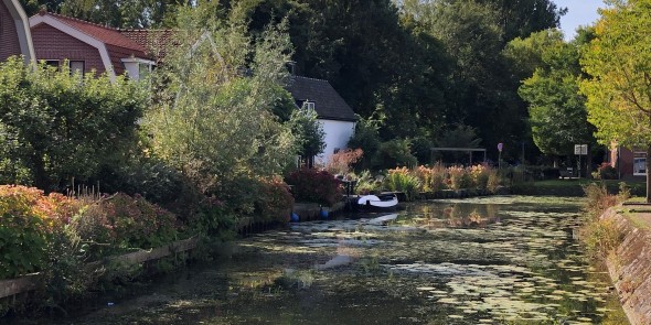 zij-arim Vecht bij Weesp.jpg