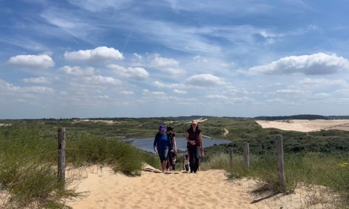 Kennemerduinen3_Henrike Veen.jpg