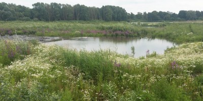 Beukenburg