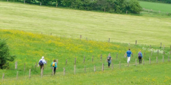 Cover_Wandelgids_Wandelen_in_het_Rijk_van_Nijmegen_1.jpg