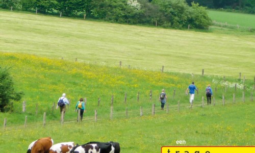 Cover_Wandelgids_Wandelen_in_het_Rijk_van_Nijmegen_1.jpg