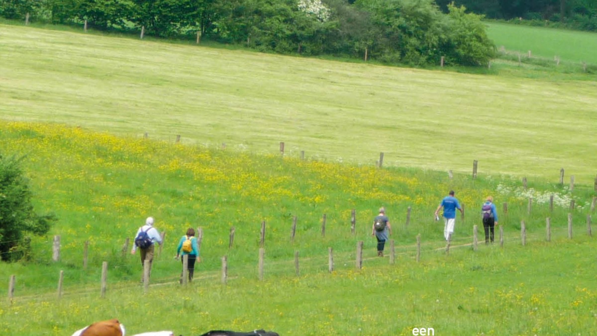 Wandelgids ‘Wandelen in het Rijk van Nijmegen’ - Wandelnet