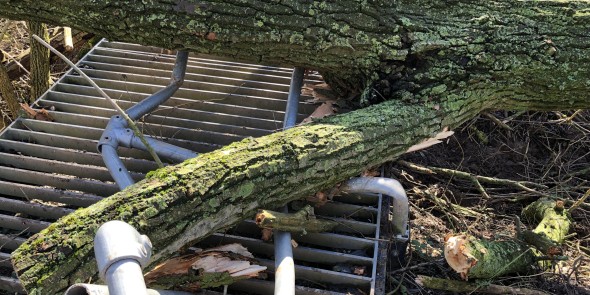 brugje weg stormschade.jpg