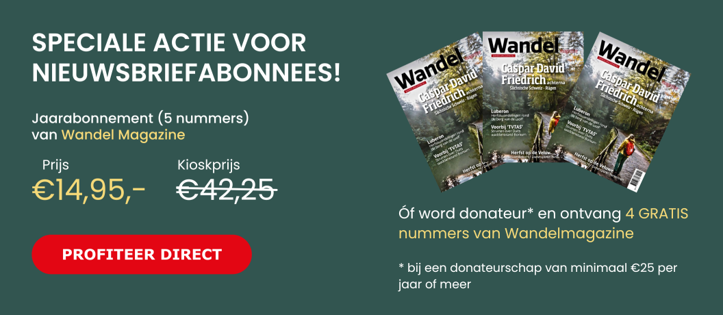 Banner Wandel Magazine