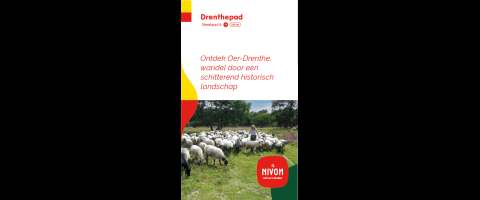 Drenthepad