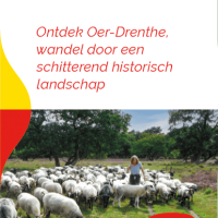 Drenthepad