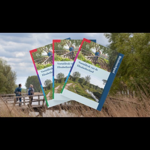 Wandelgidsen Hersenstichting