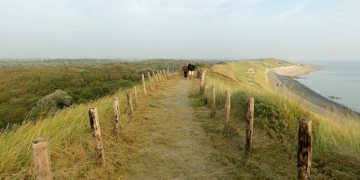 Zoutelande, duin Westkapelle, Ad Snelderwaard uitsnede2.jpg