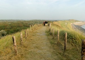 Zoutelande, duin Westkapelle, Ad Snelderwaard uitsnede2.jpg