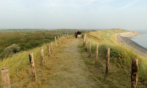 Zoutelande, duin Westkapelle, Ad Snelderwaard uitsnede2.jpg