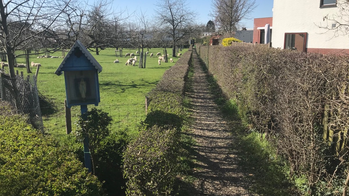 Een rondje lopen door de buurt - Wandelnet