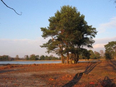 Onverhard twentepad 1