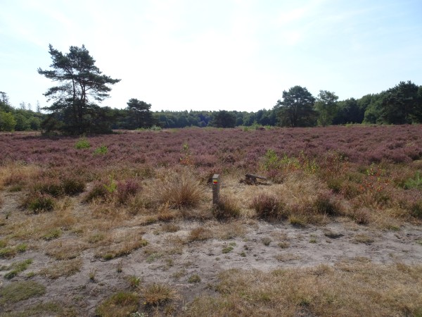 Buinerveld met routepaal