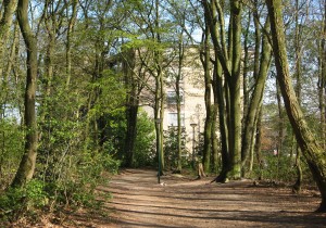 #rondjelopen Kleine Kampen vanaf pad naar  Stadsbossen.jpg