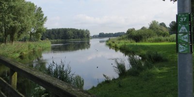 Oostvaardersplassen.jpg