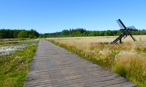Grolloërveen.JPG