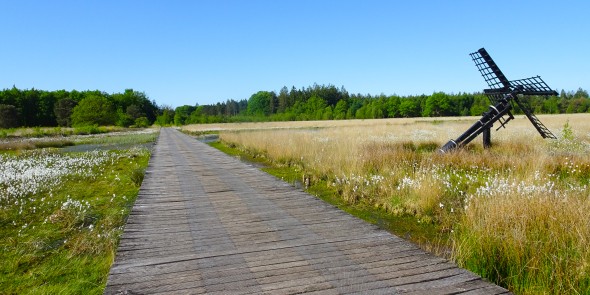 Grolloërveen.JPG