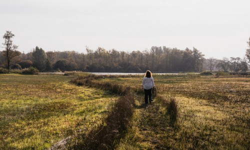 Natuur in de Achterhoek. Beeld door Aranka Sinnema via NBTC Media Bank