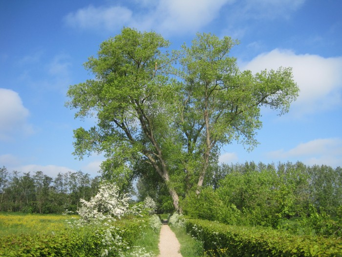 Onverhard Aardenburg 3