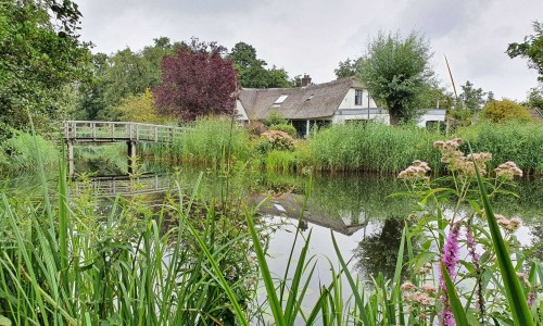 Ankerveense Plassen, bruggetje bij Googpad.jpg