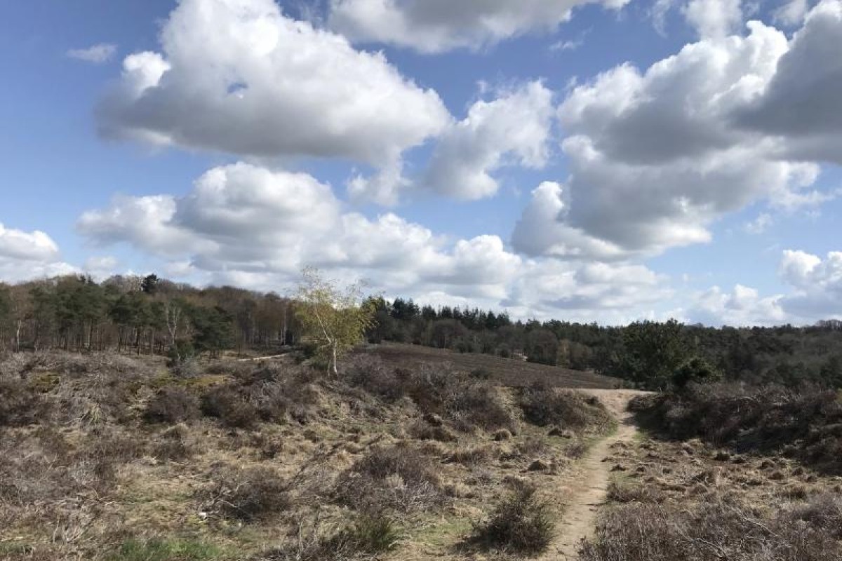 Streekpad Rijk van Nijmegen (SP 3) | Wandelen door schitterende ...