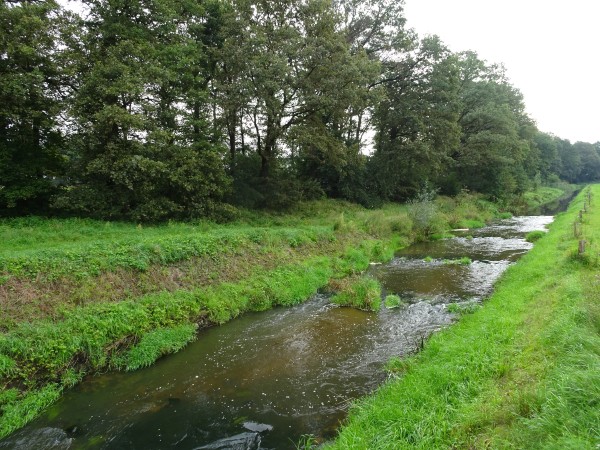 Buurserbeek