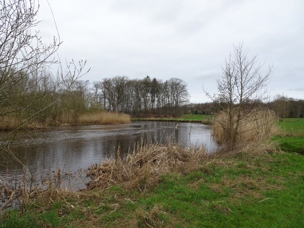 De Regge