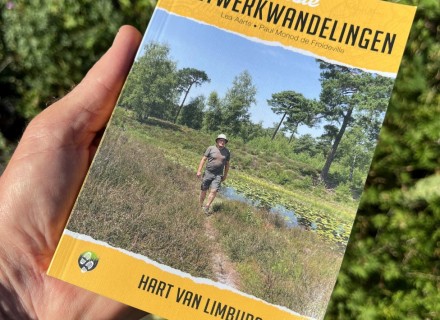Wandelgids: De mooiste netwerkwandelingen: Hart van Limburg
