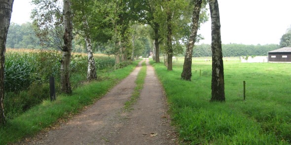 Spoorovergang_Greversweg_Winterswijk.jpg