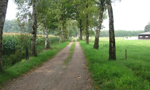 Spoorovergang_Greversweg_Winterswijk.jpg