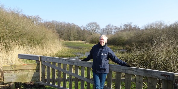 Petra van der Meer, Groninger Landschap.JPG