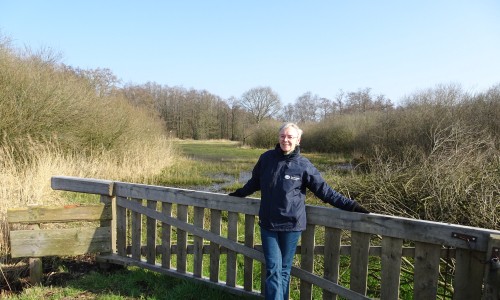 Petra van der Meer, Groninger Landschap.JPG