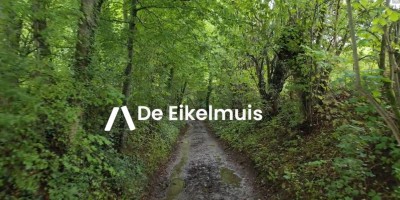 eikel.JPG
