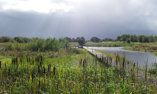 Schitterende Schammer  Utrechts Landschap.png