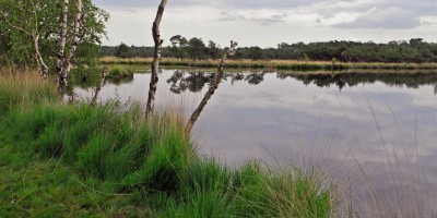 Huisven_Kampina.jpg
