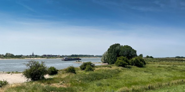 Grote Rivierenpad thema breed 2-2.jpg