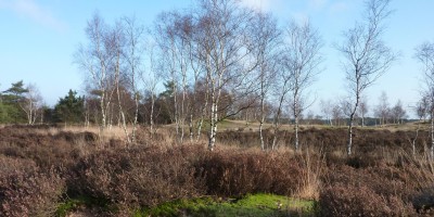 Wouwse Plantage (dag 2)